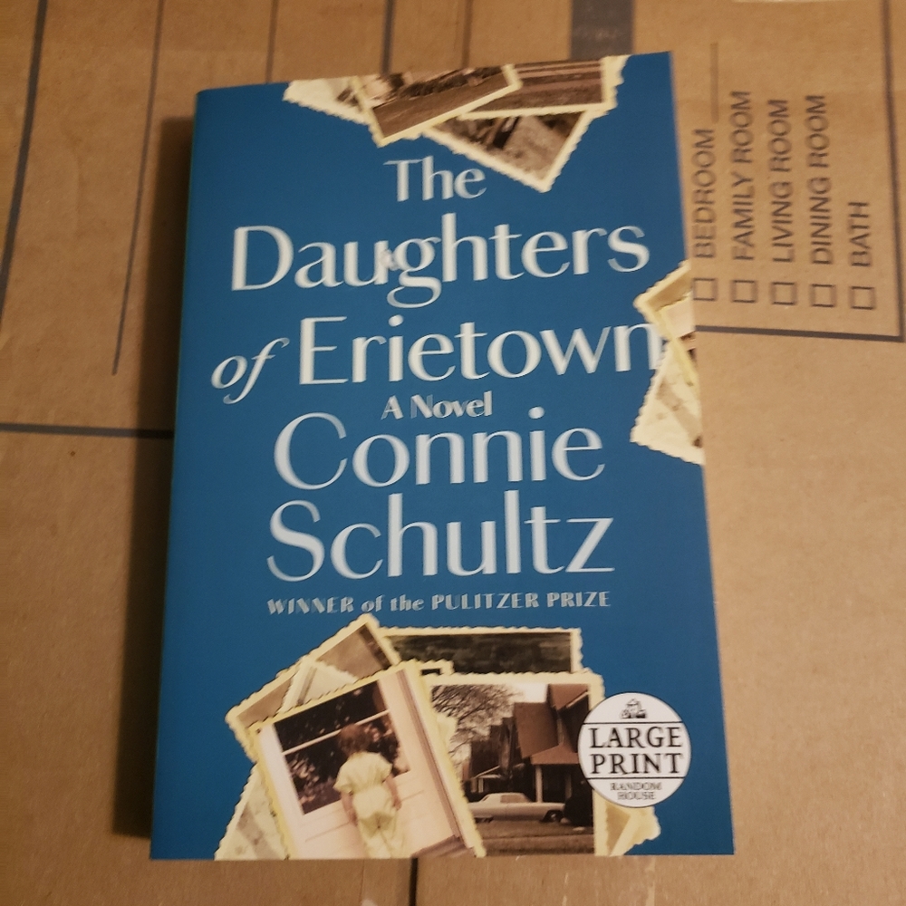 The Daughters‎ of Erietown by Connie Schultz